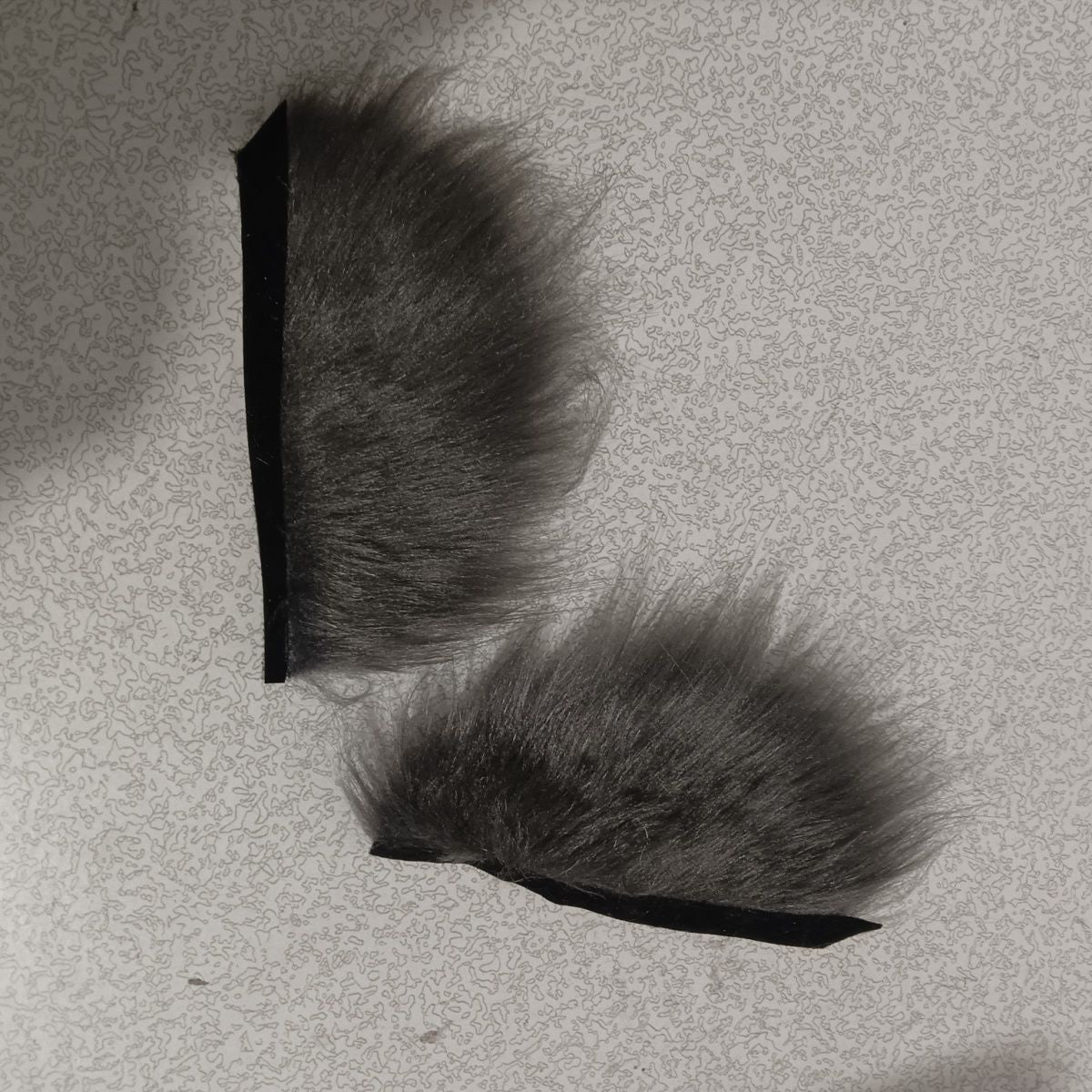 Furry head with half-covered eyelids