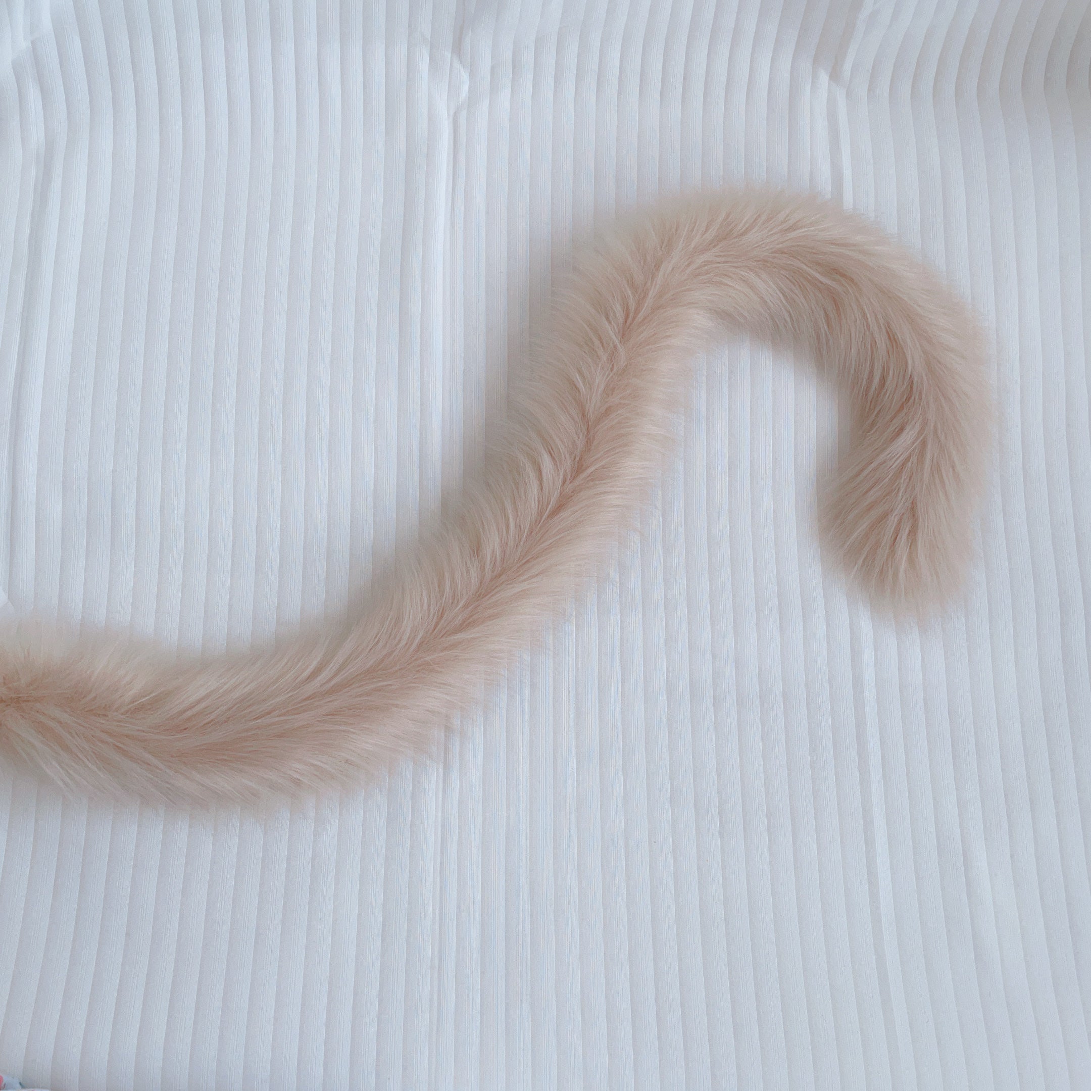 Brown cat tail