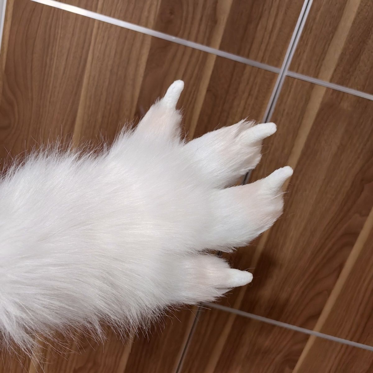 Customization of animal skin claws