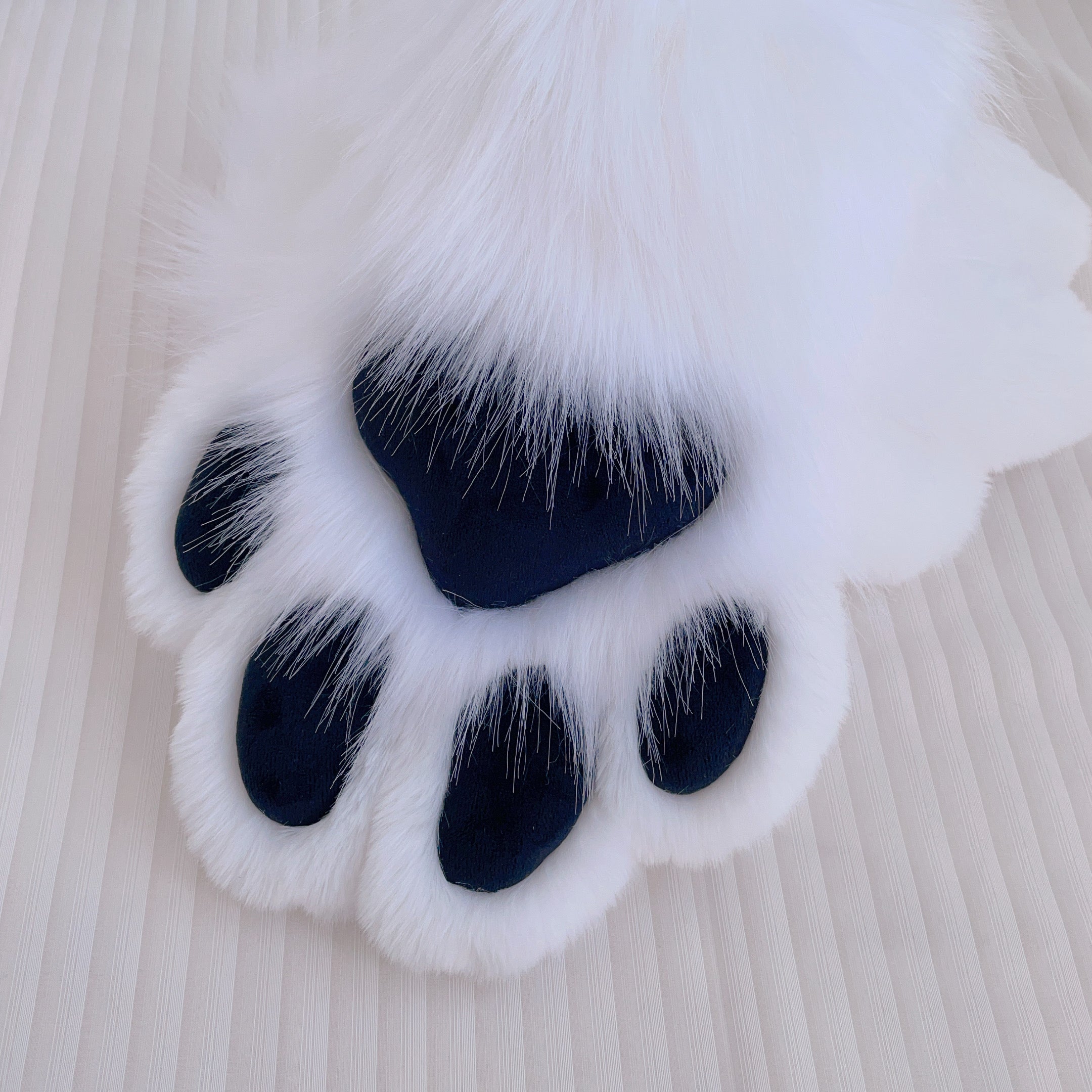 Black and white dog claws animal claws