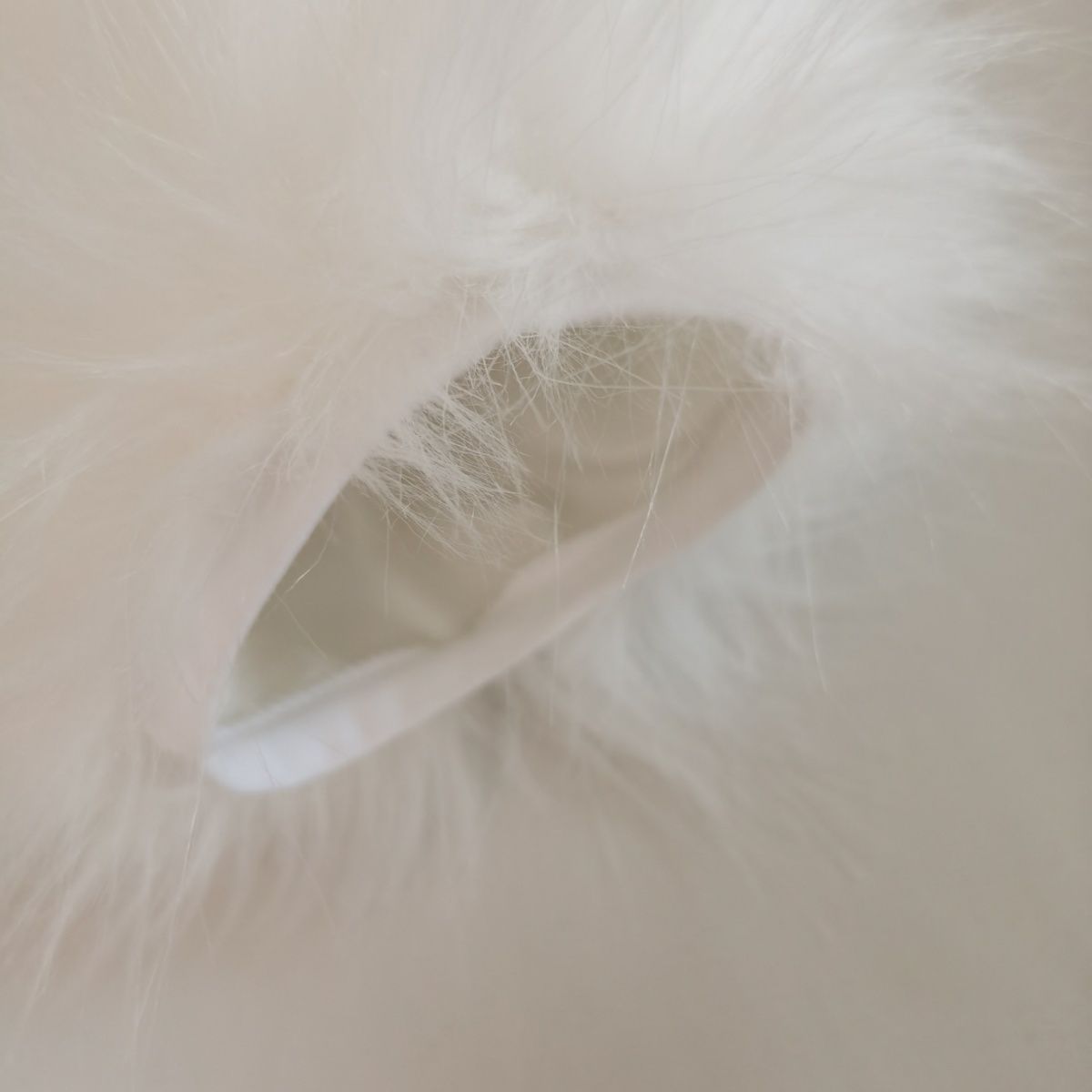 furry color furry claws three finger dragon claws