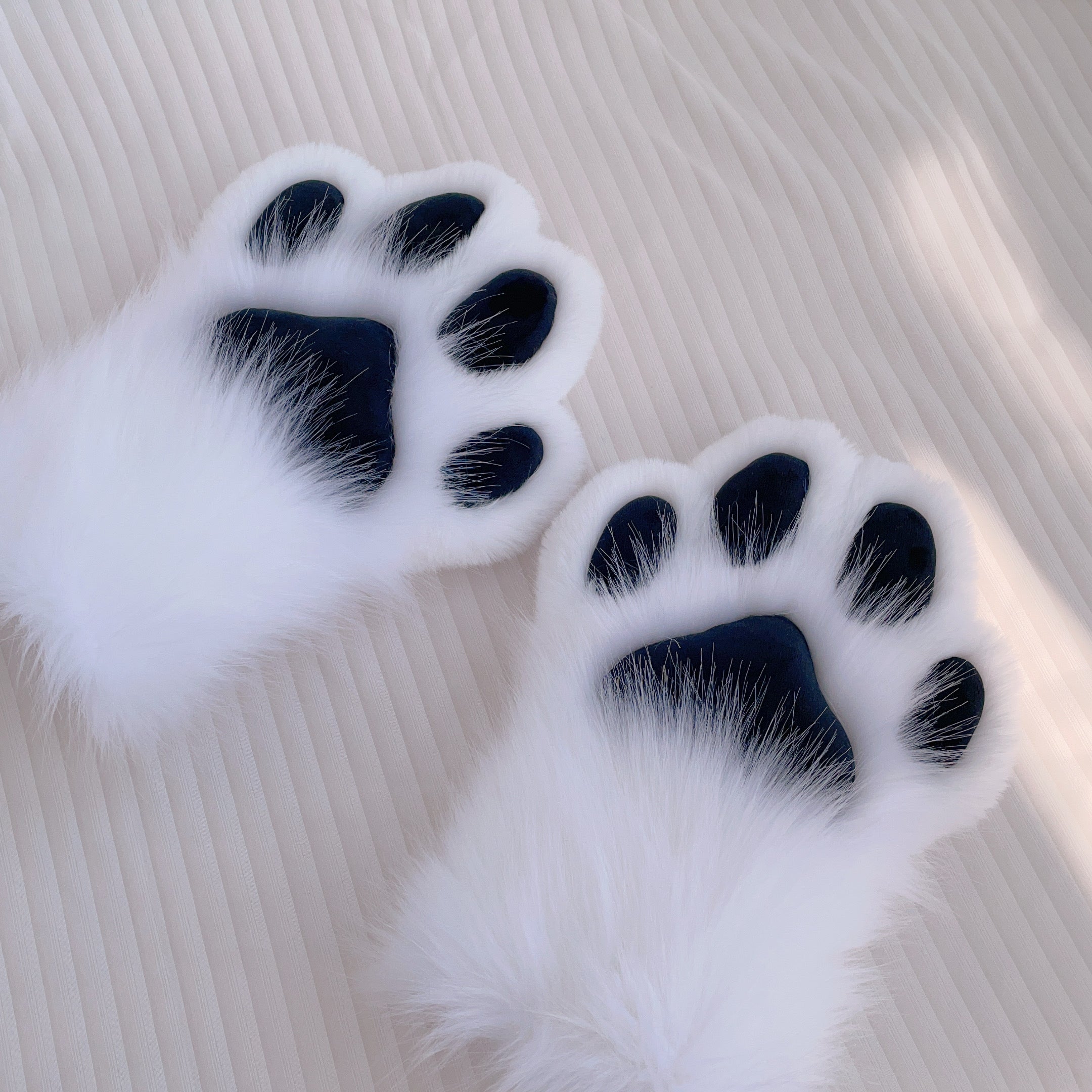 Black and white dog claws animal claws