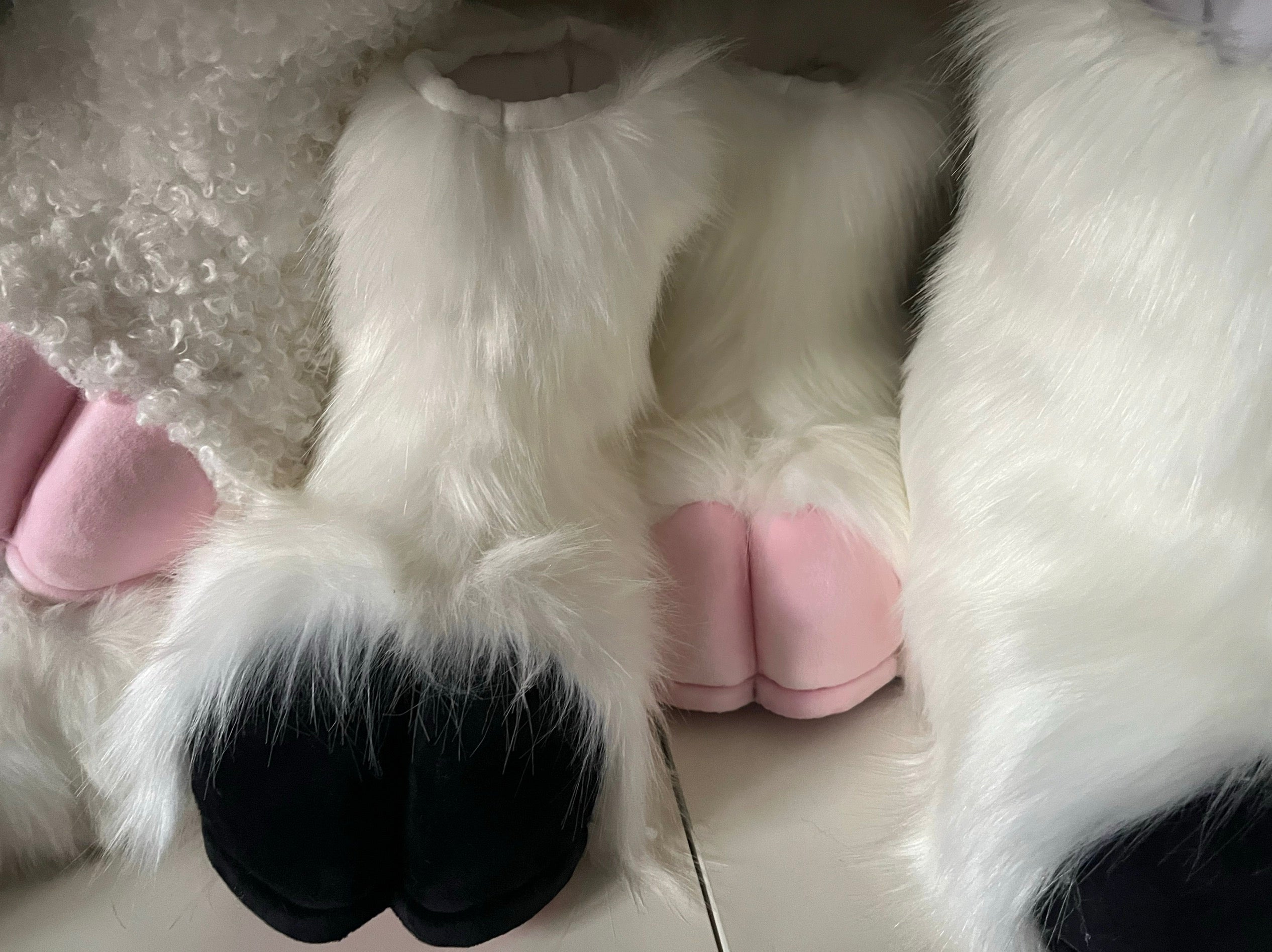 Furry lamb hoof outdoor hoof in stock