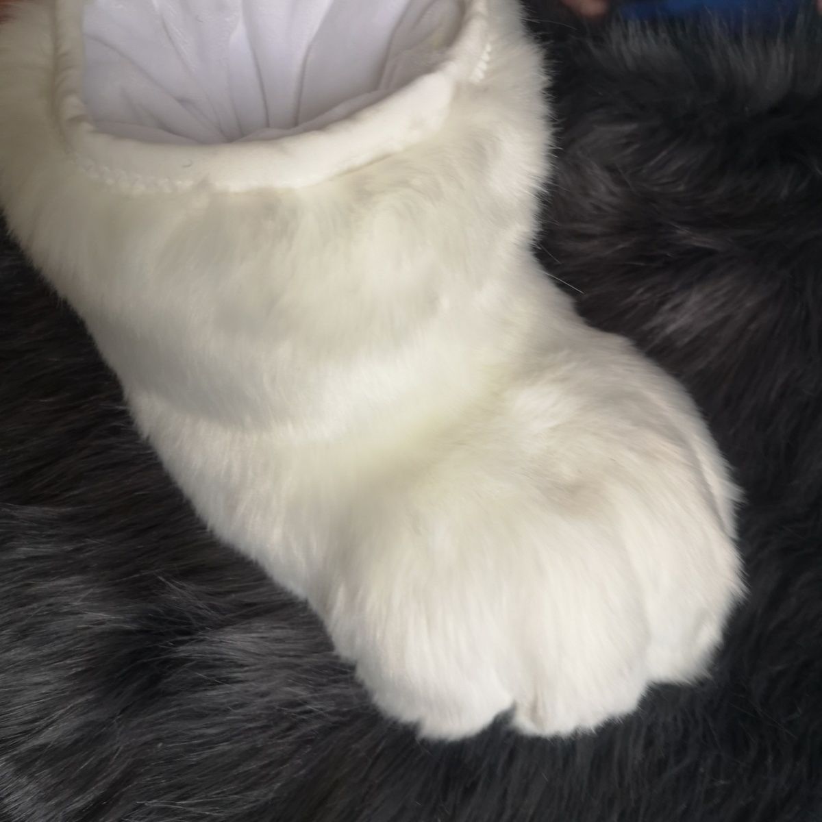 Animal costume ready-made claw socks cat feet