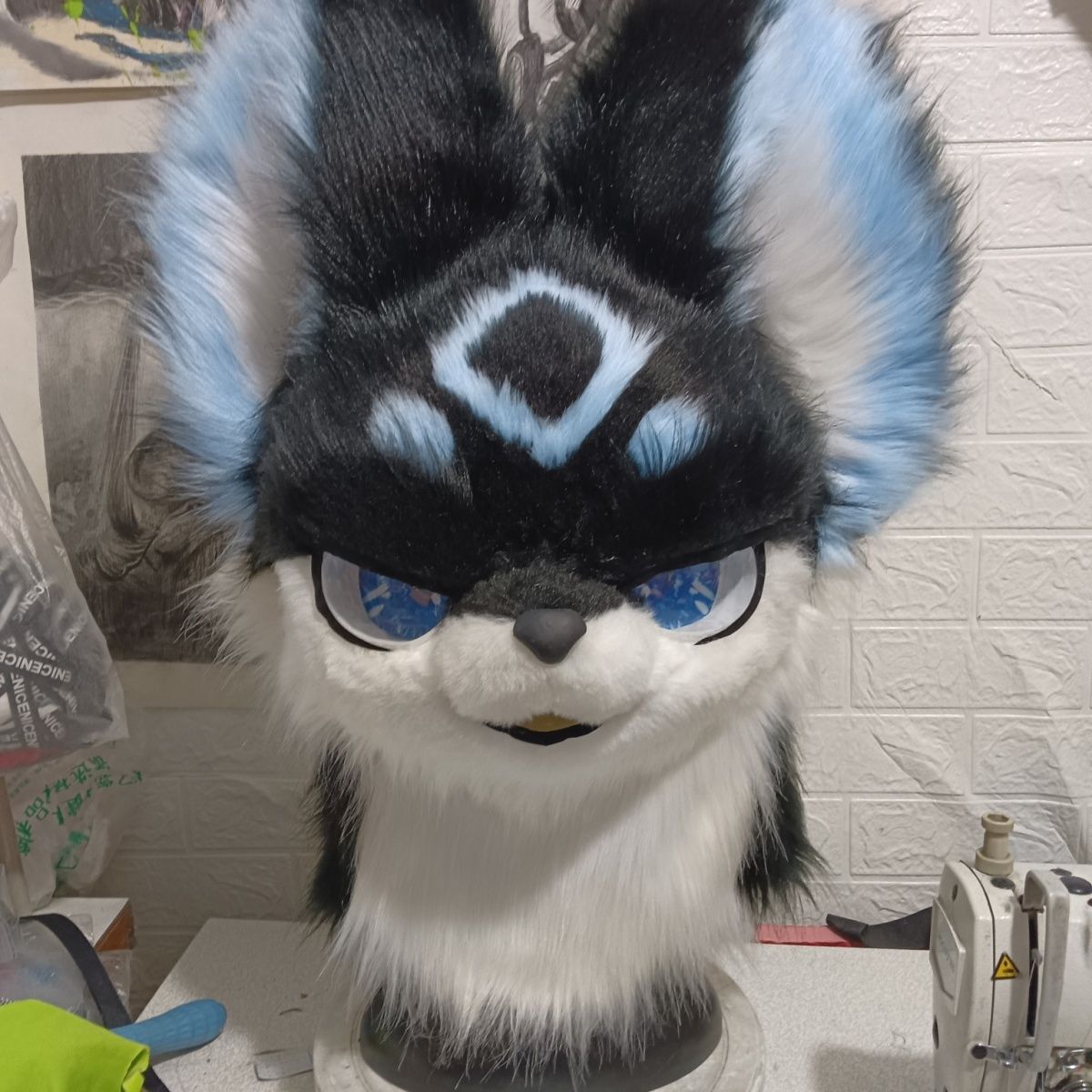 Furry head with half-covered eyelids
