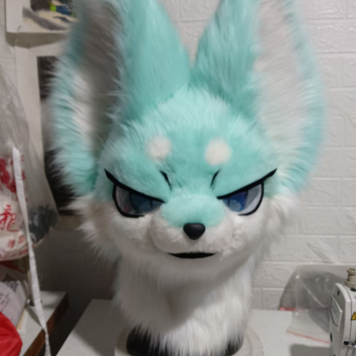 Furry head with half-covered eyelids