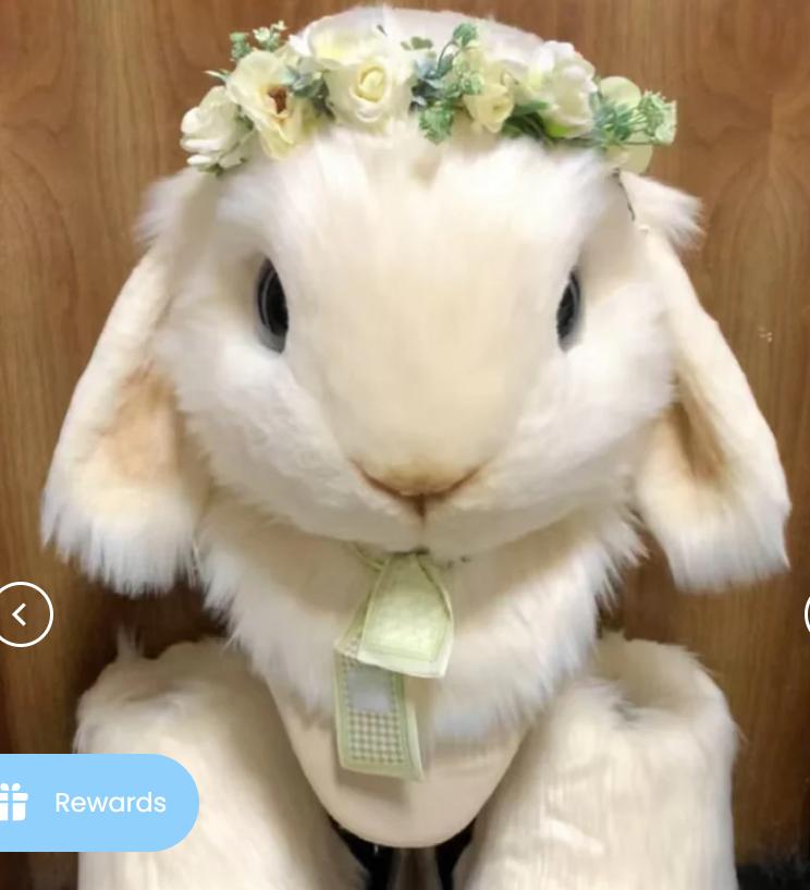 [ Deposit ] - [Rabbit] Full Set Bunny with wreath kemono fursuits stock