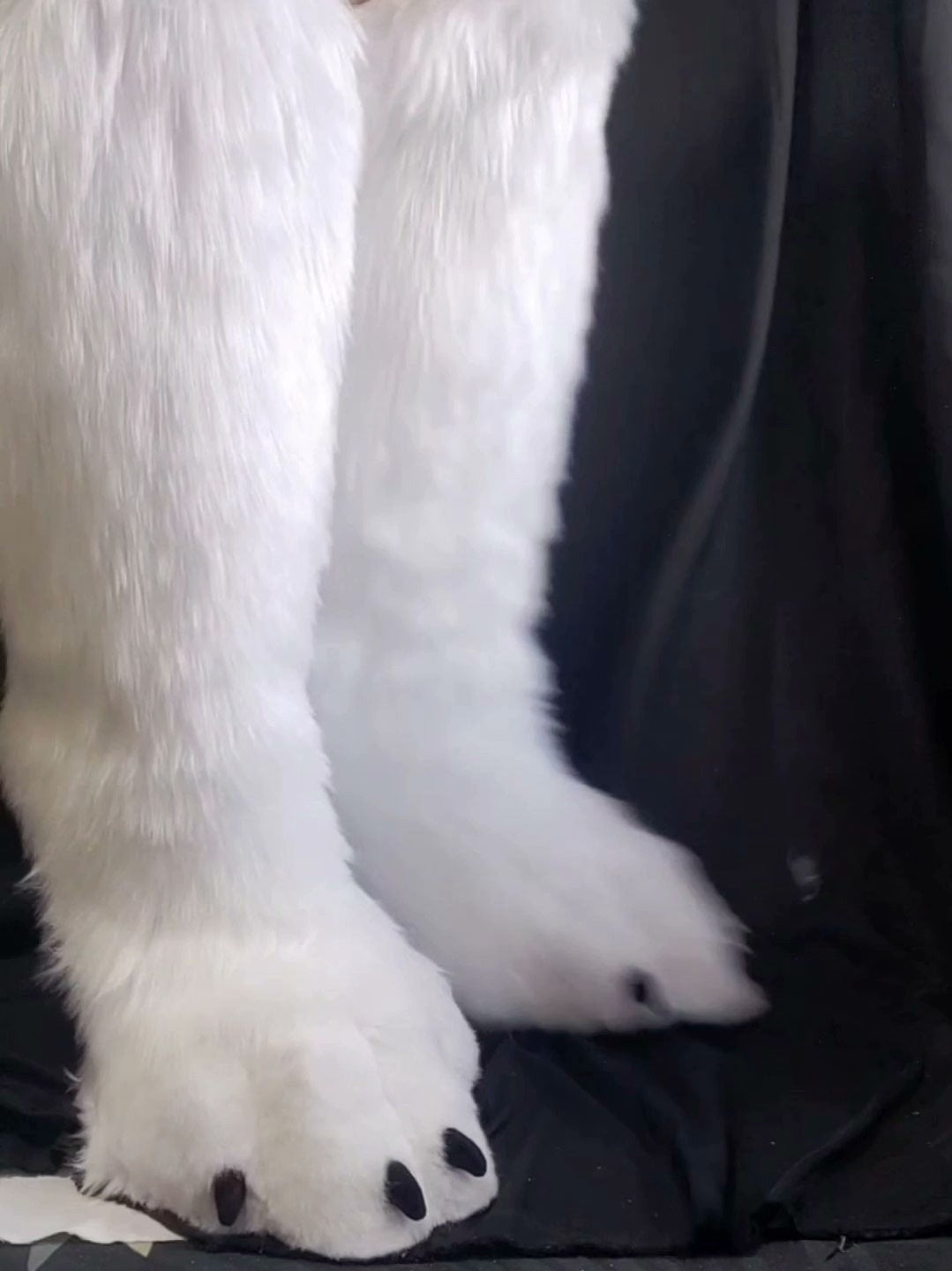 Long animal feet realistic