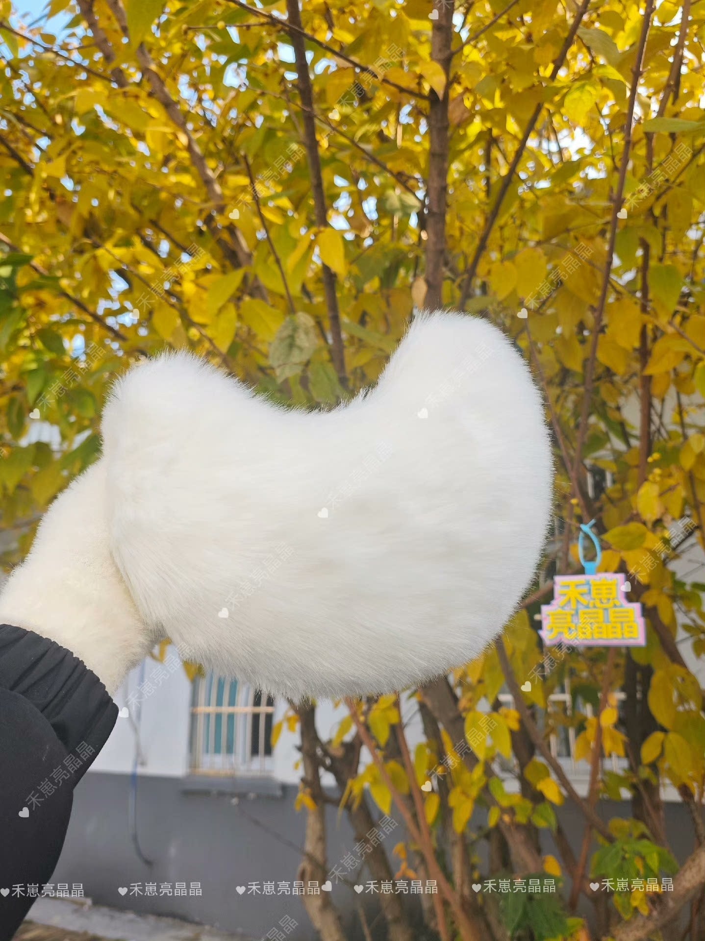 bunny tail dog tail