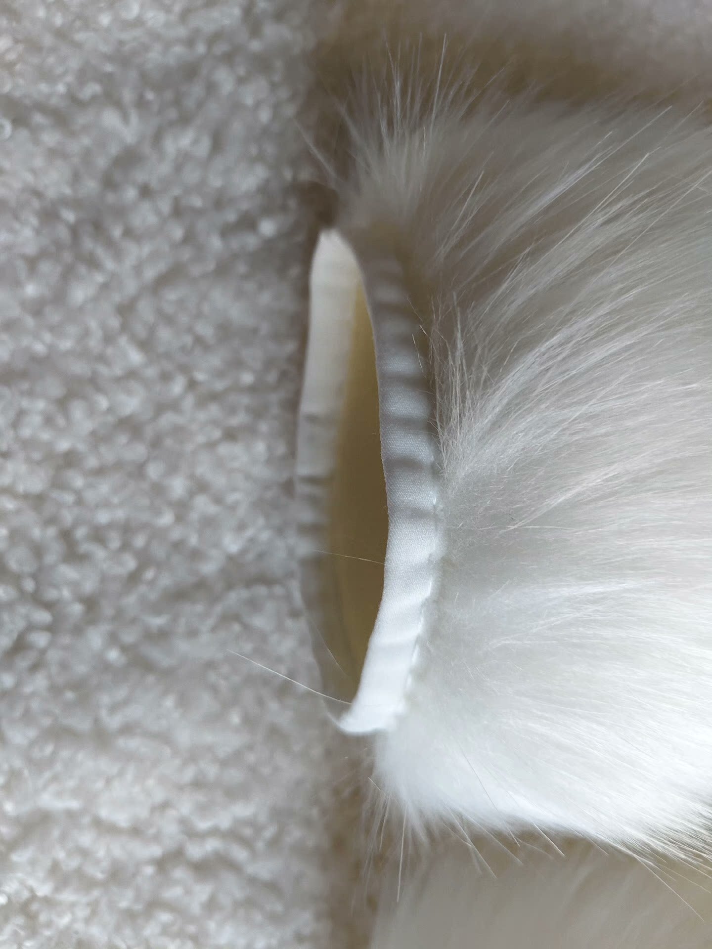 Short rabbit claw