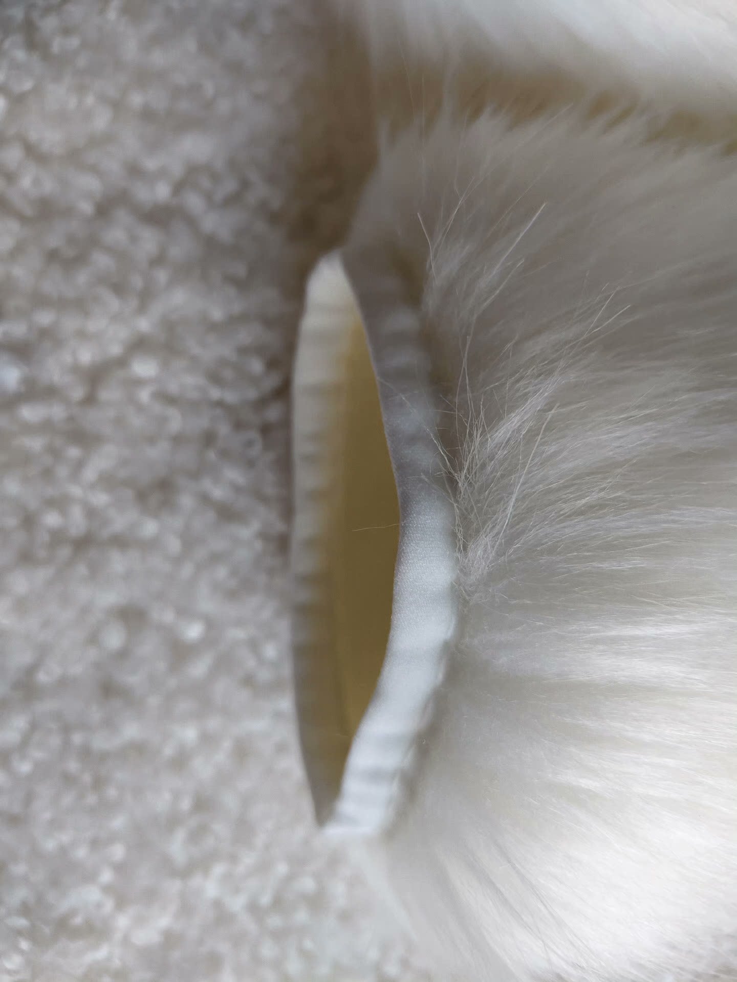 Short rabbit claw
