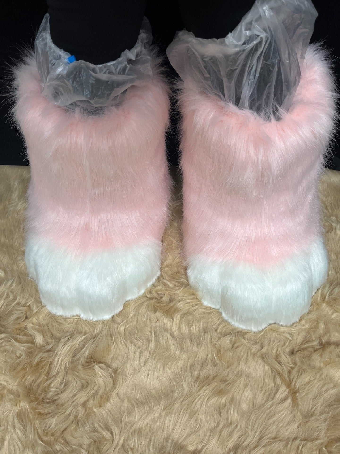 Animal clothing cat legs