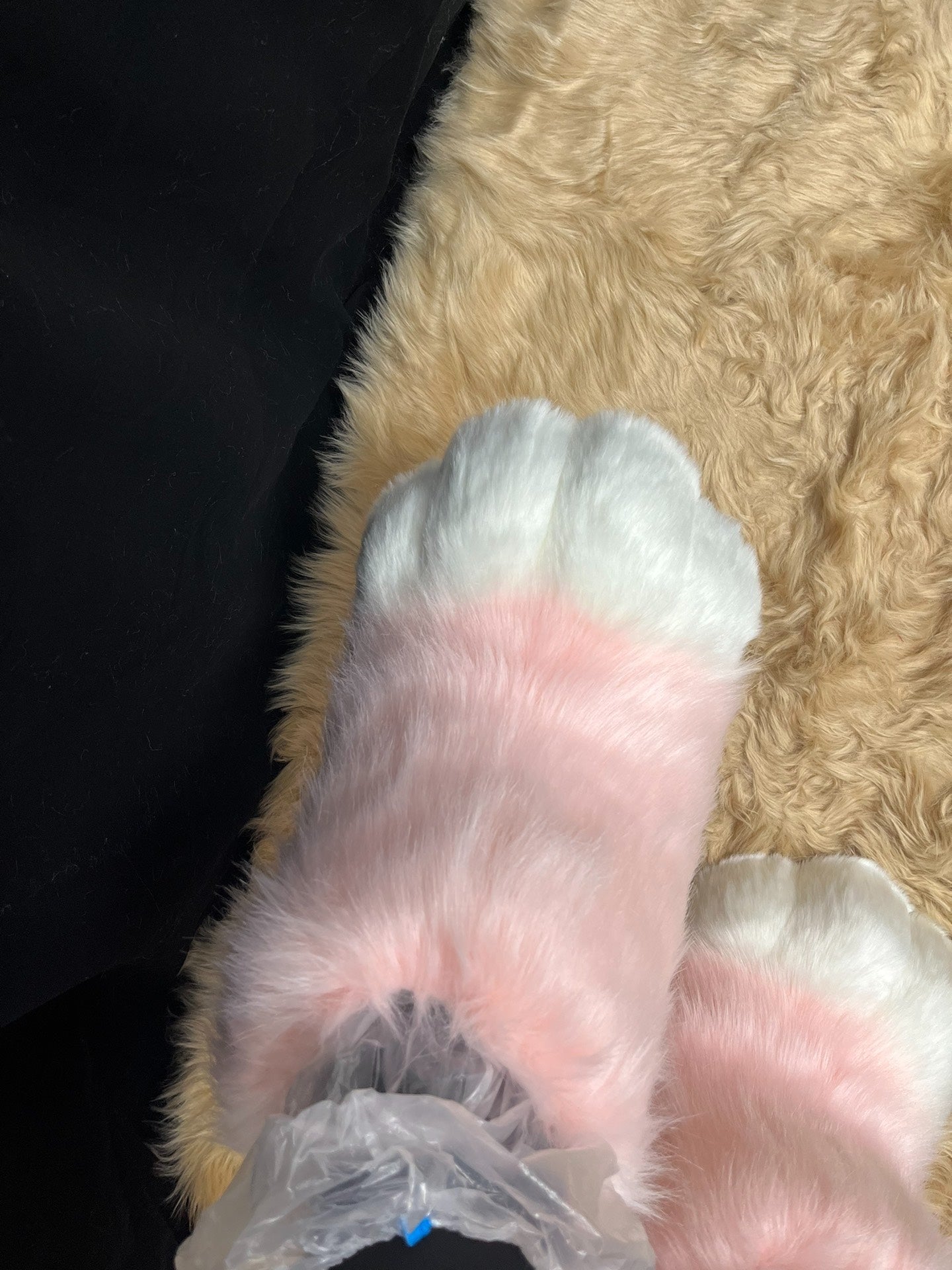 Animal clothing cat legs