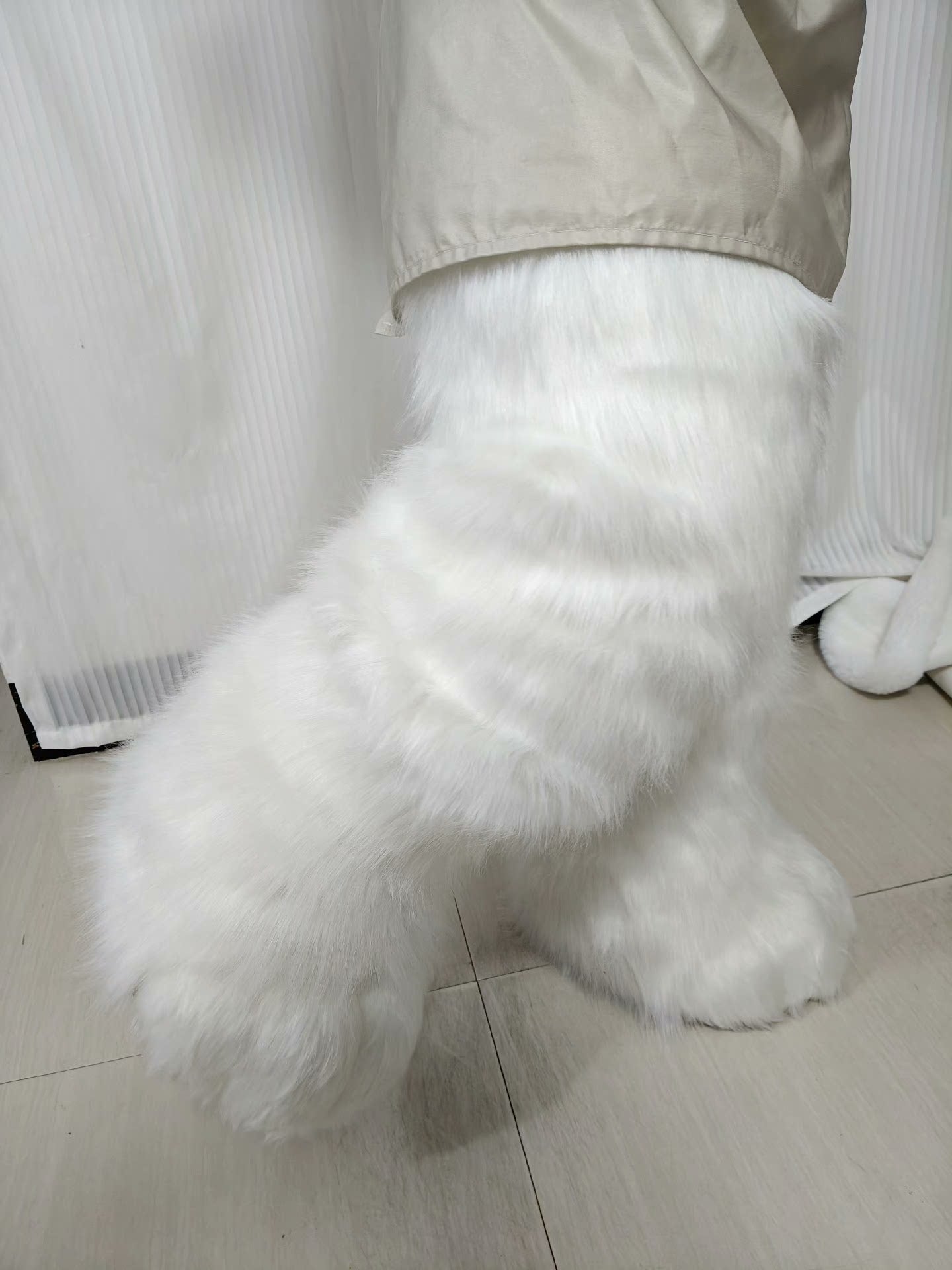 Animal clothing cat legs