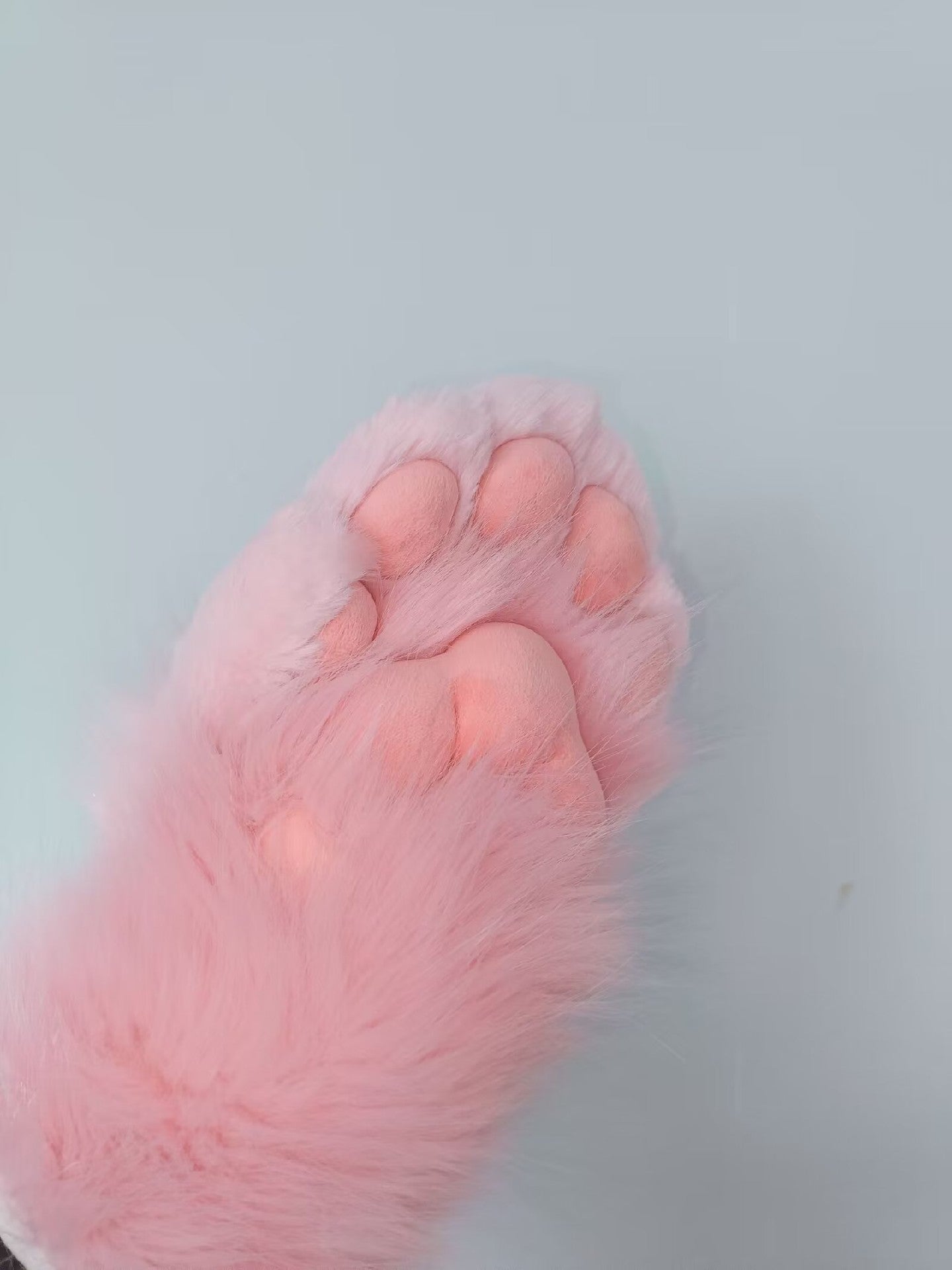 Kemono five-fingered claw