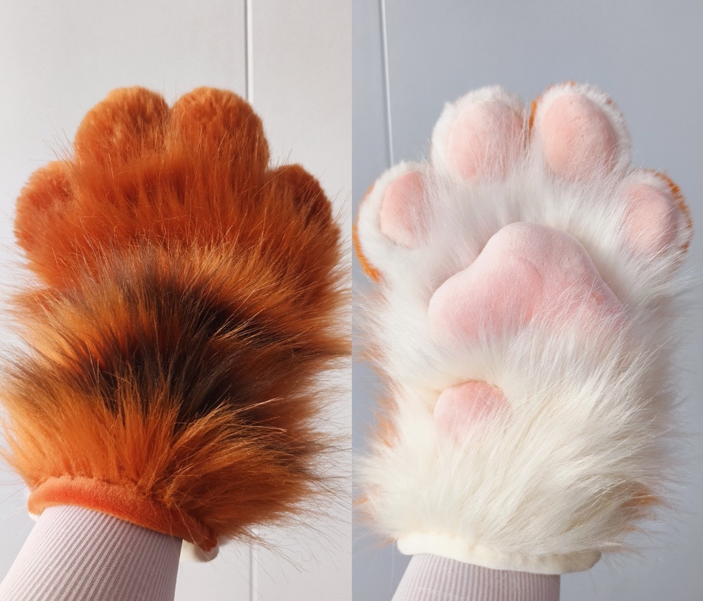 New tiger claw