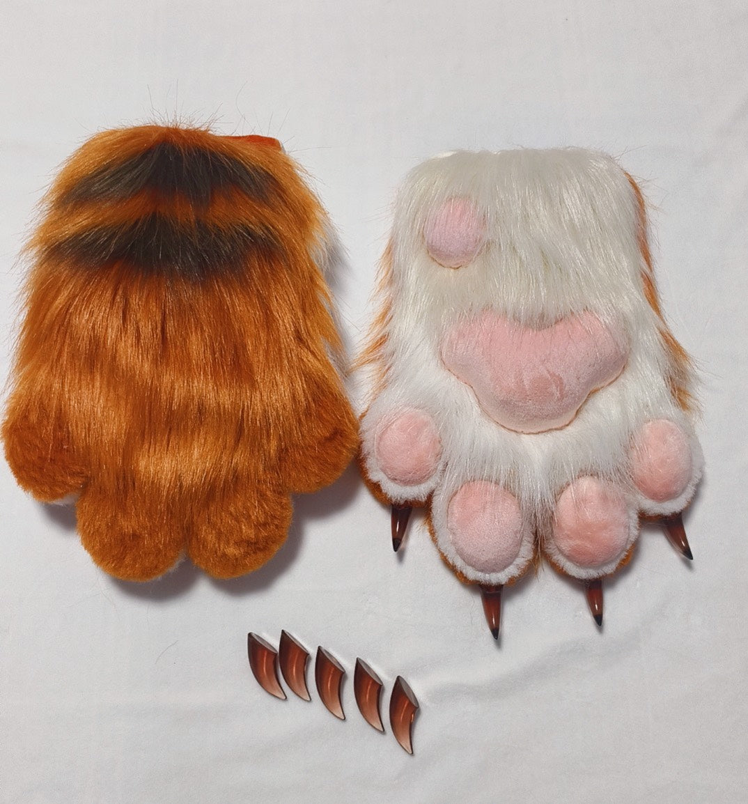 New tiger claw