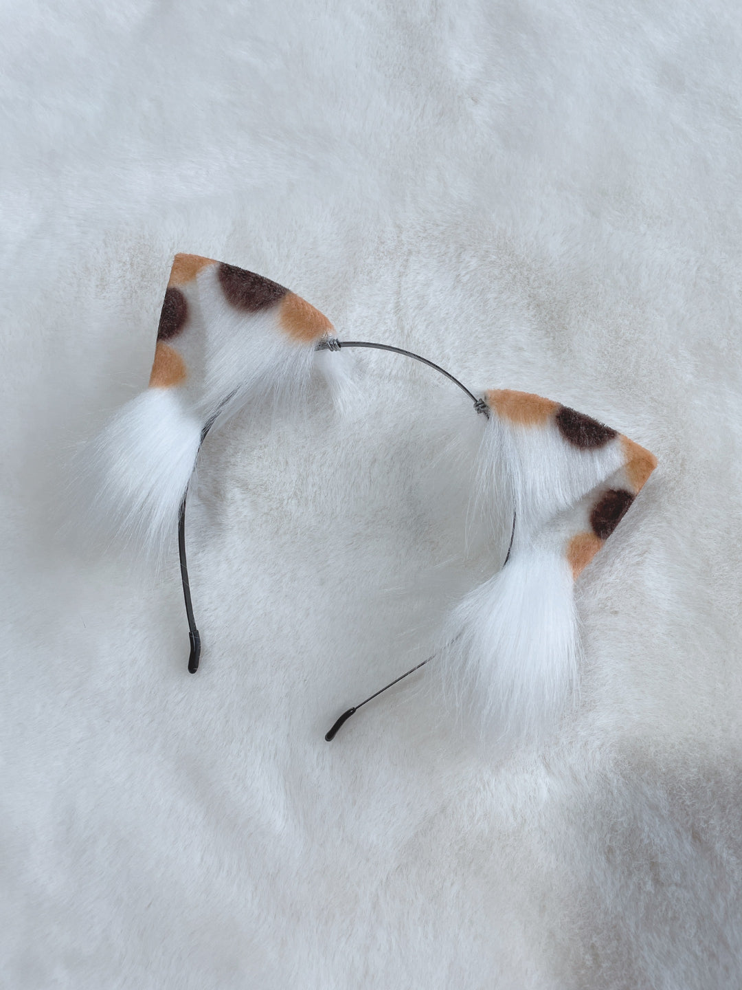 Three-color tabby kitten tail