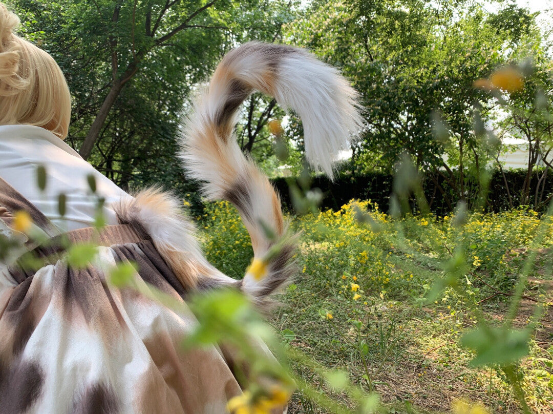 Three-color tabby kitten tail