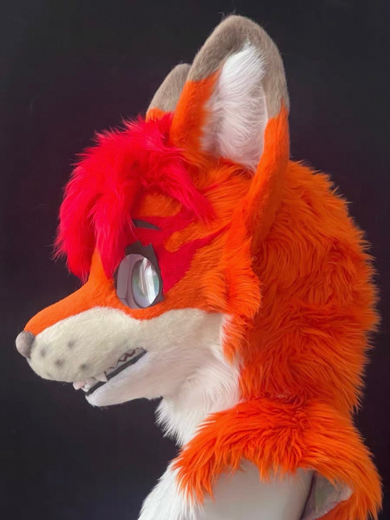Naughty Toony Kemono Head Fursuit