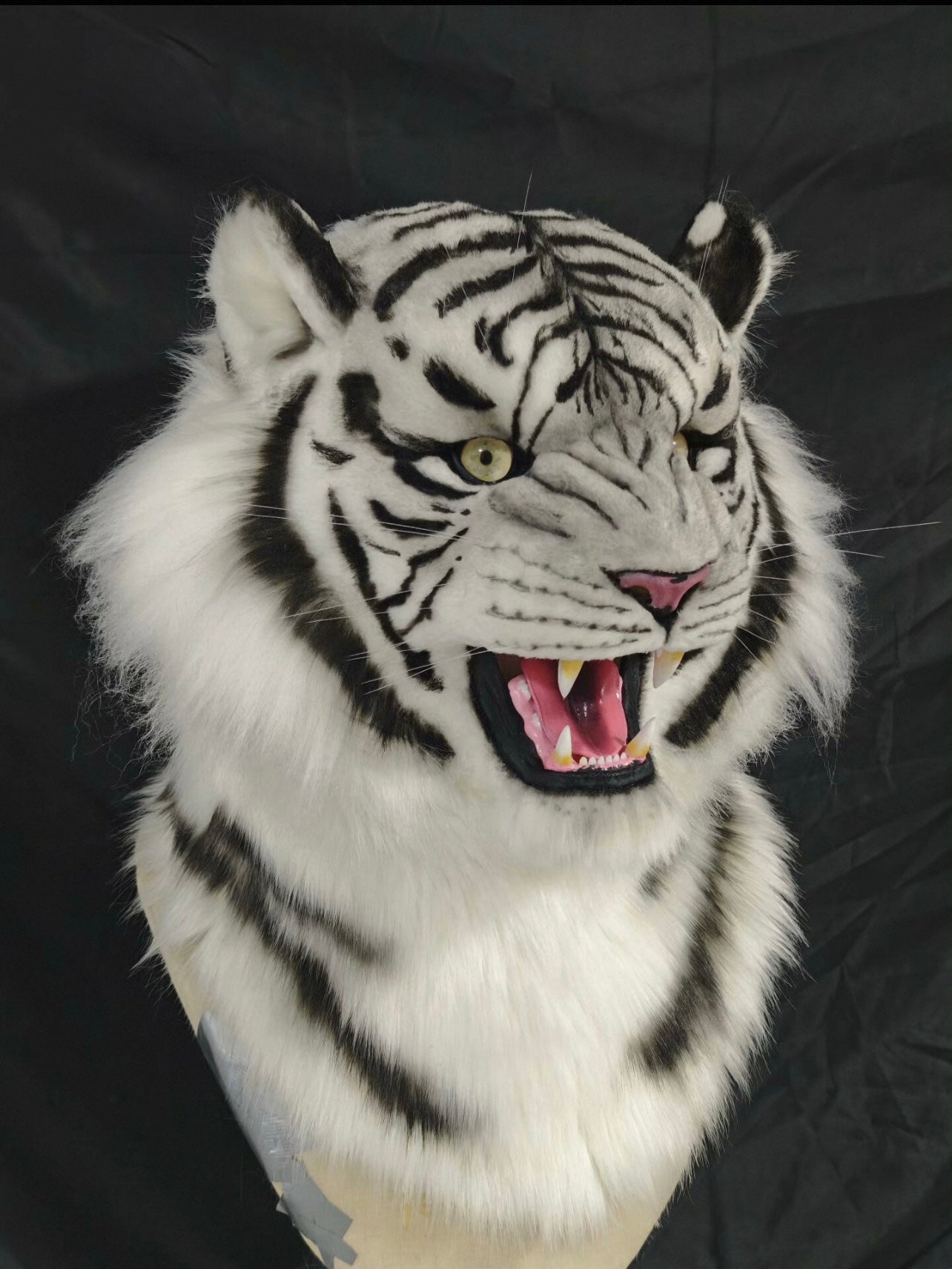 Roaring White Tiger Realistic Head Fursuit