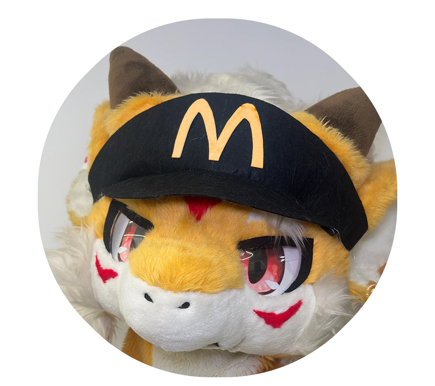 furry cute furry