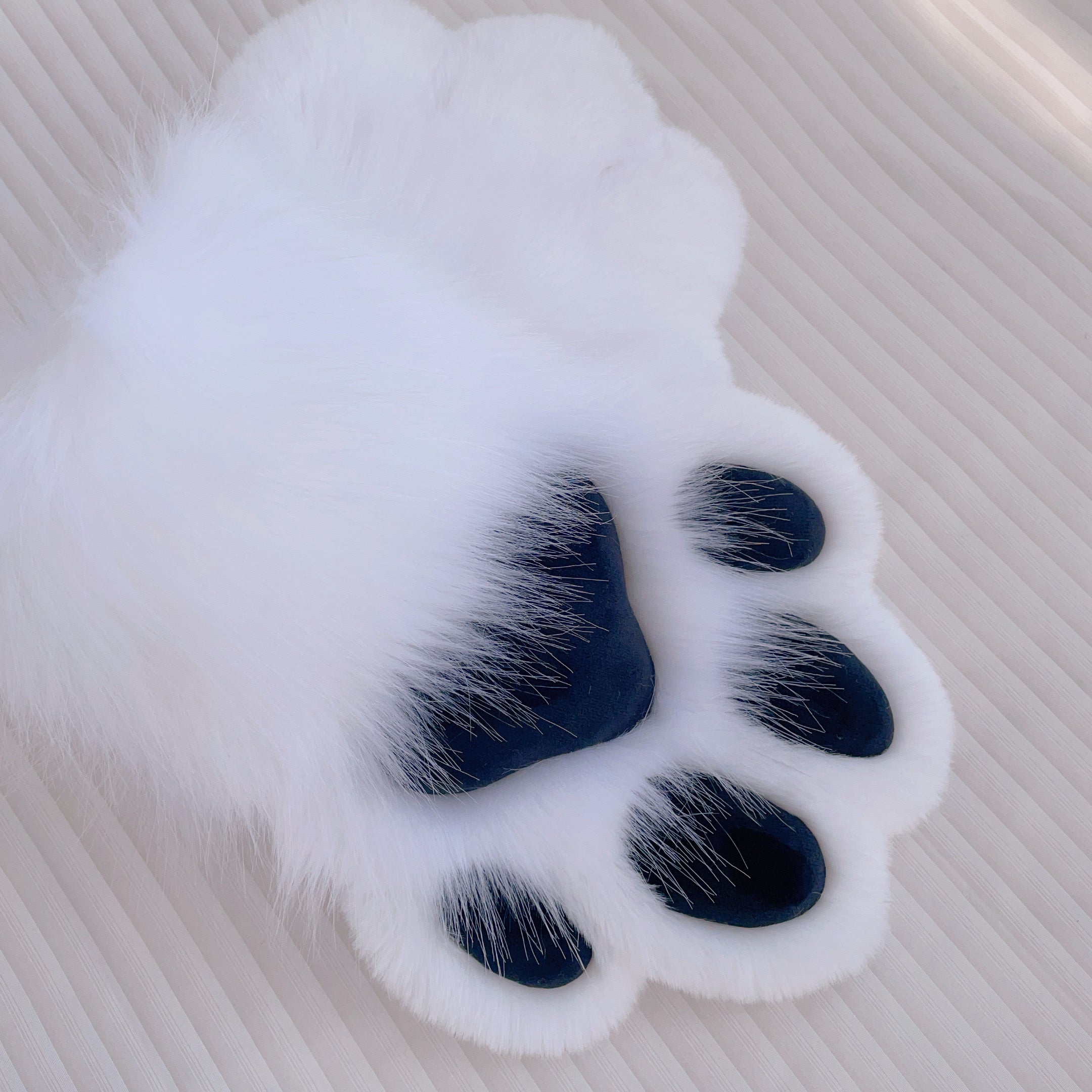 Black and white dog claws animal claws