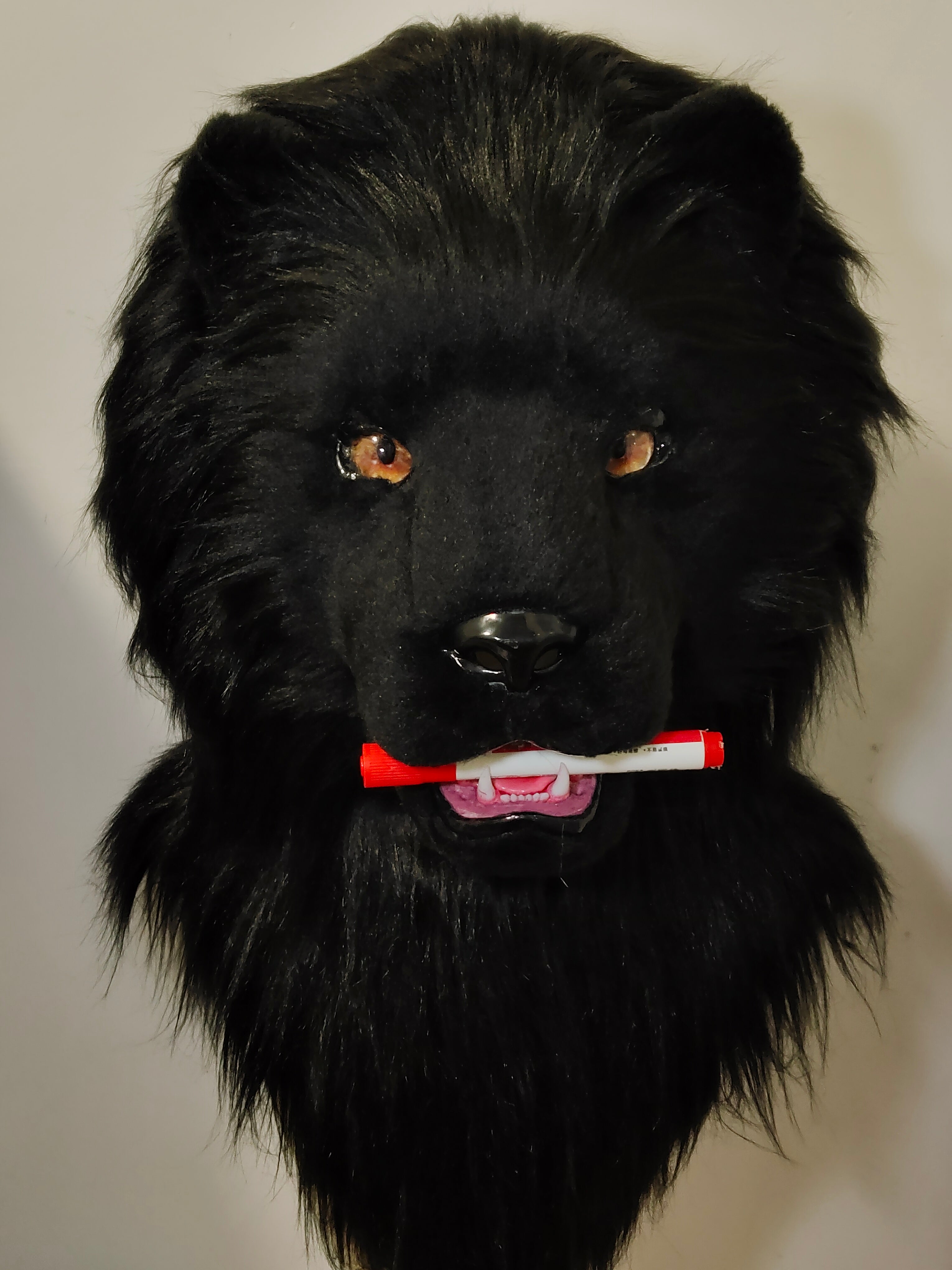 [Lion] Black Lion Realistic Fursuits Stock