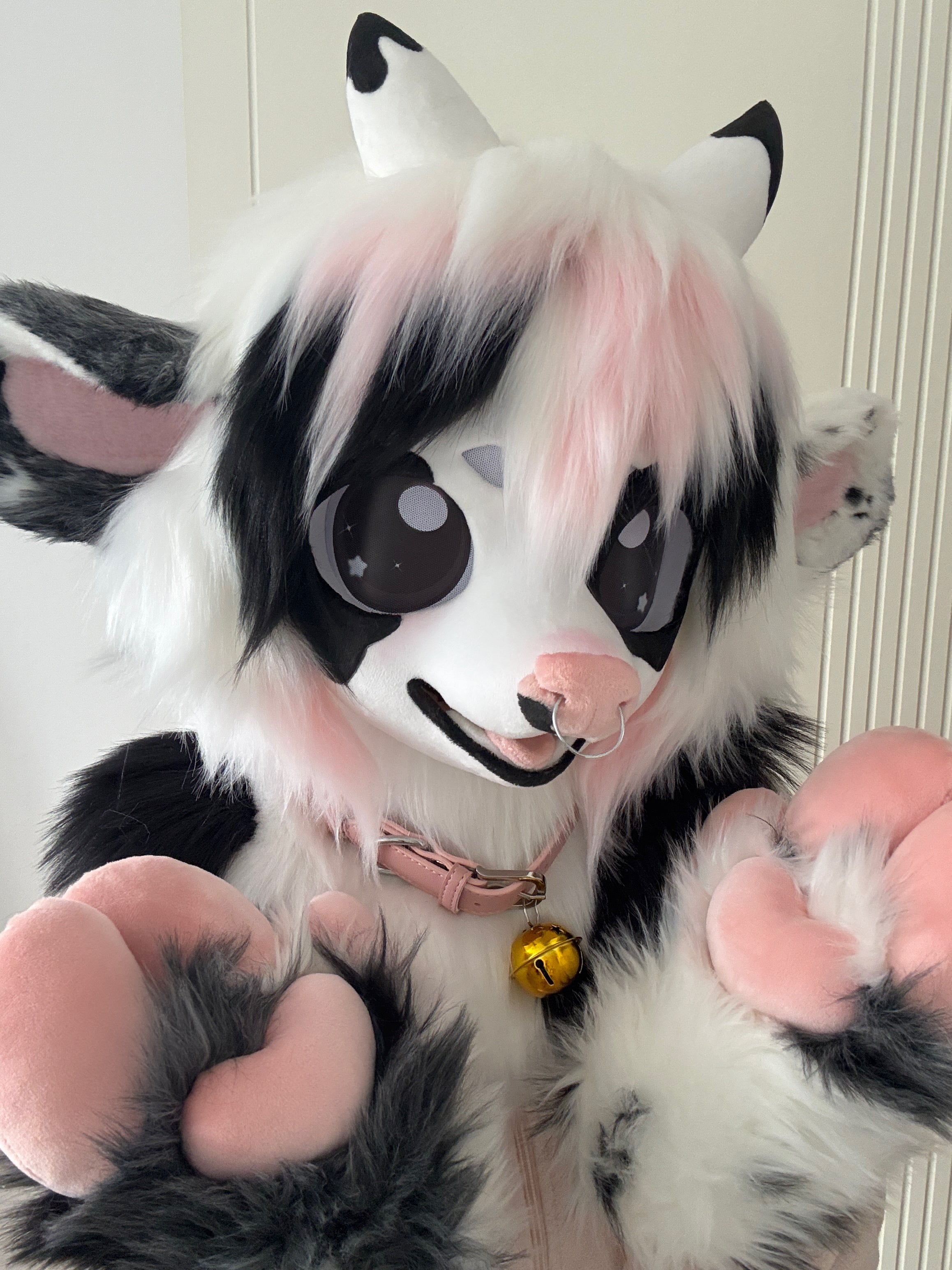 [Cow] Cow Kig Fursuits Stock (Gift Handpaws)
