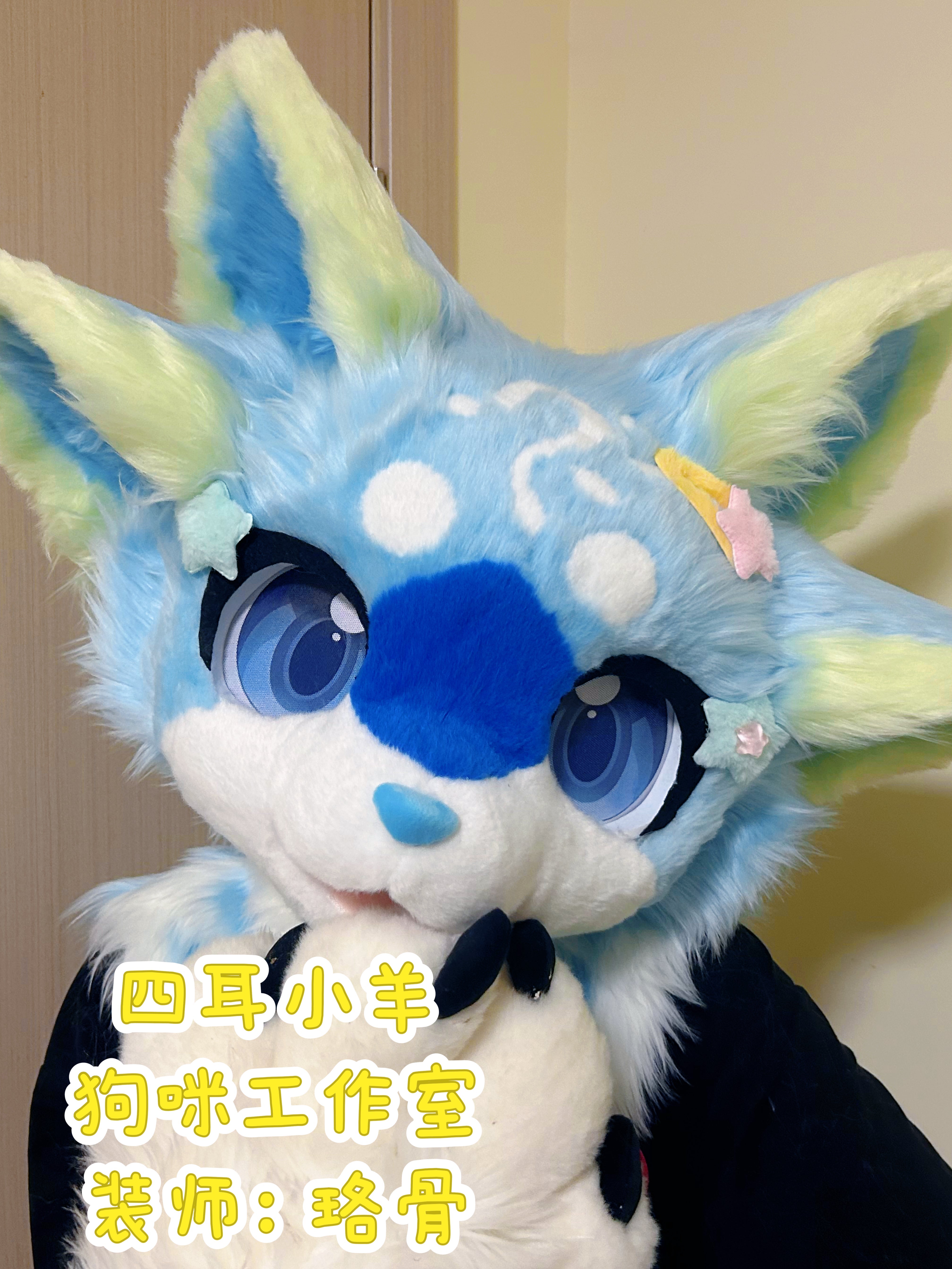 Four-eared blue and green lamb