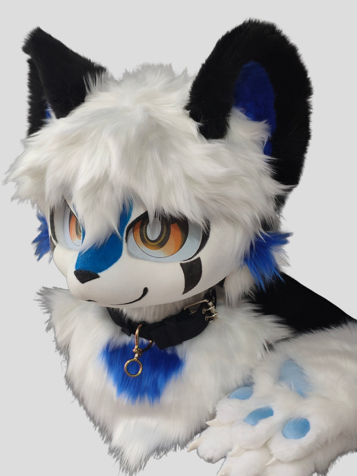 Blue and white kitten (Gift Handpaws)