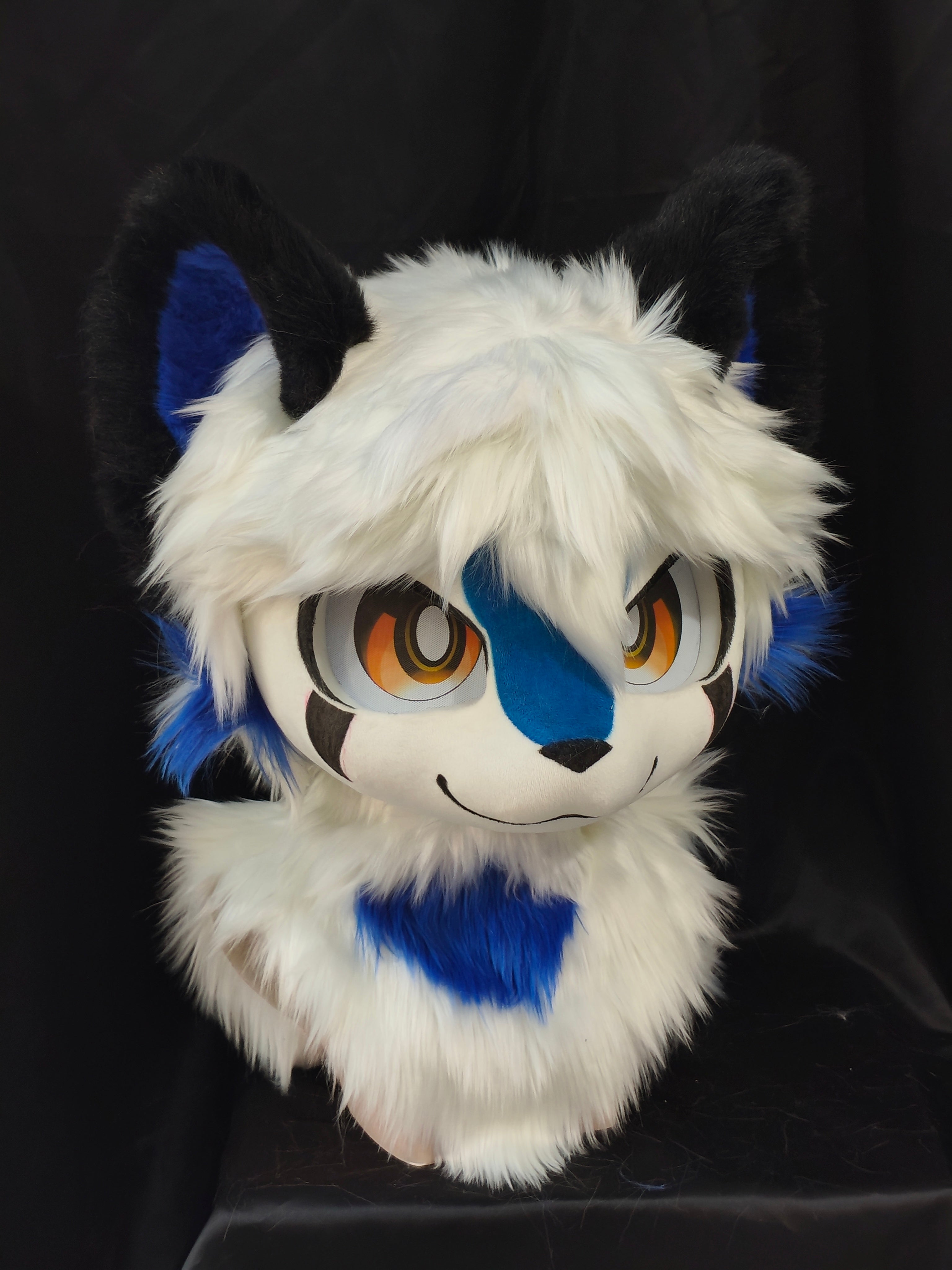 Blue and white kitten (Gift Handpaws)