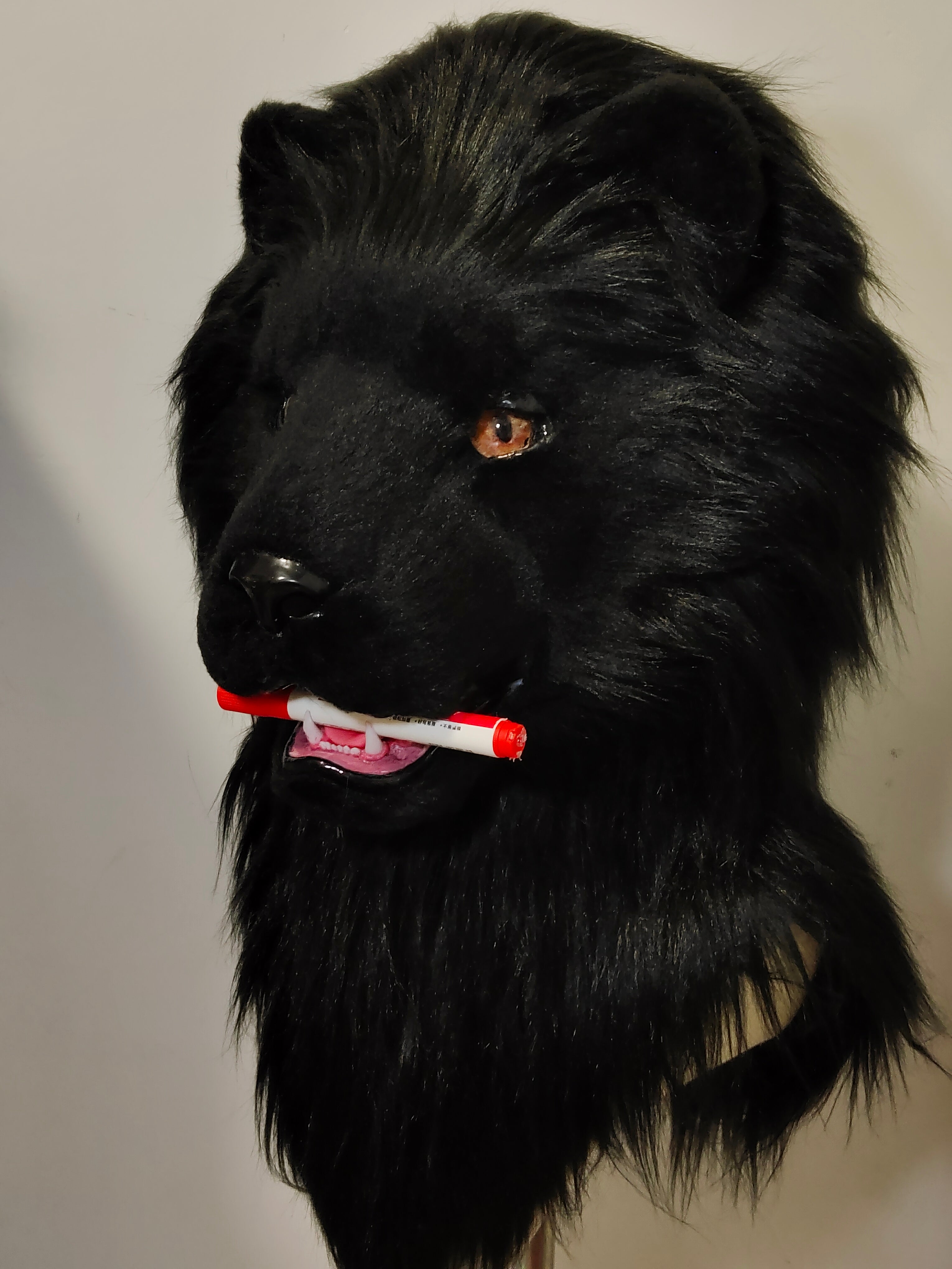 [Lion] Black Lion Realistic Fursuits Stock