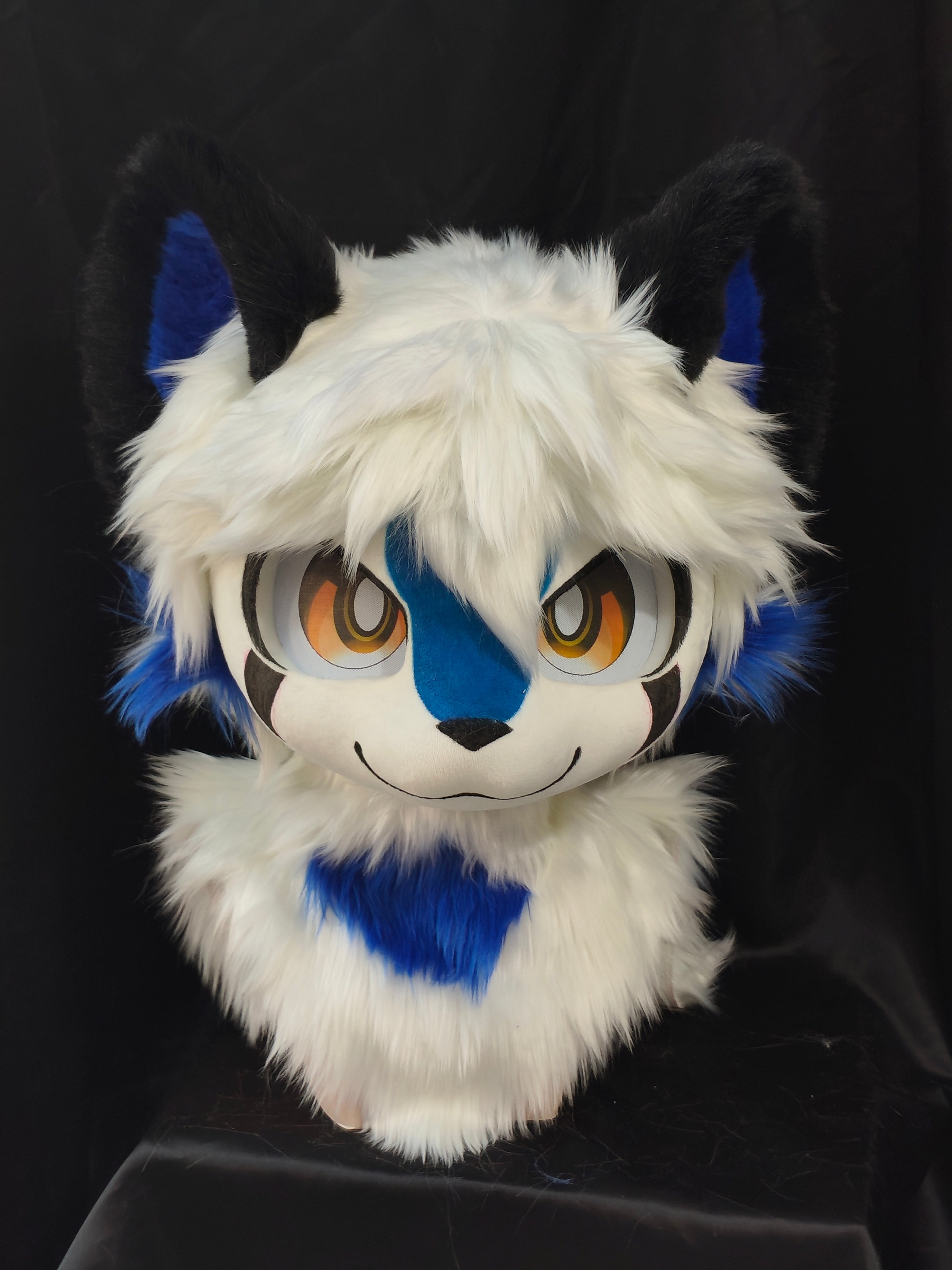 Blue and white kitten (Gift Handpaws)