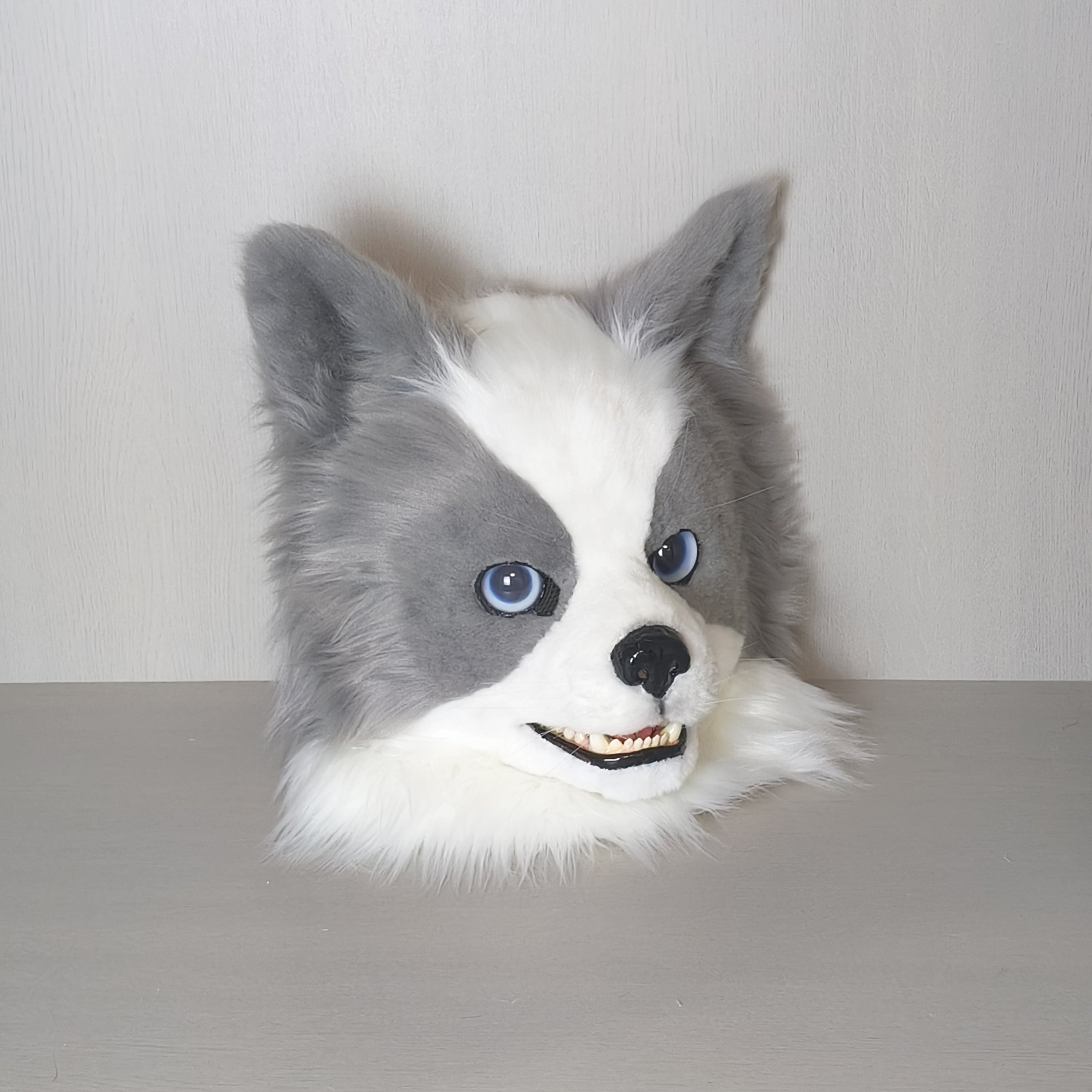 Border Collie Realistic Head Fursuit