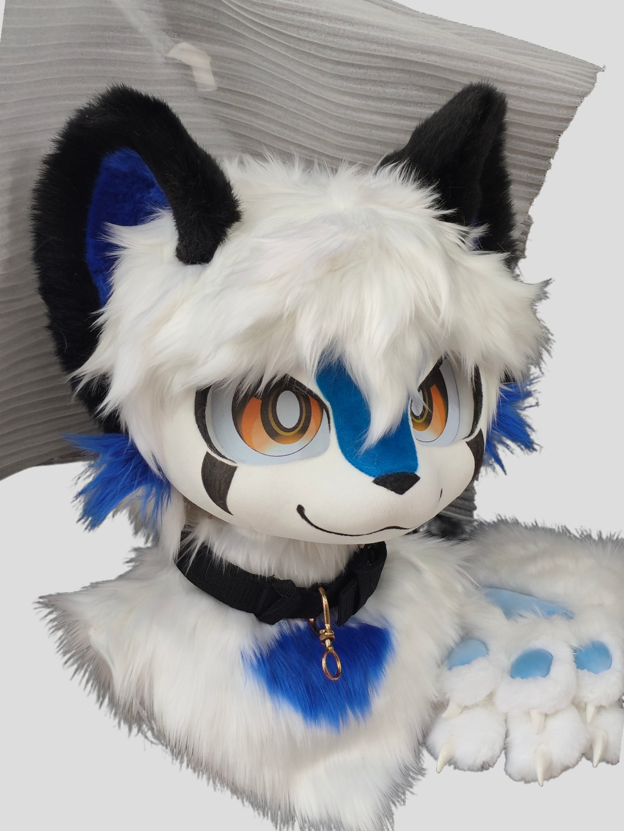 Blue and white kitten (Gift Handpaws)