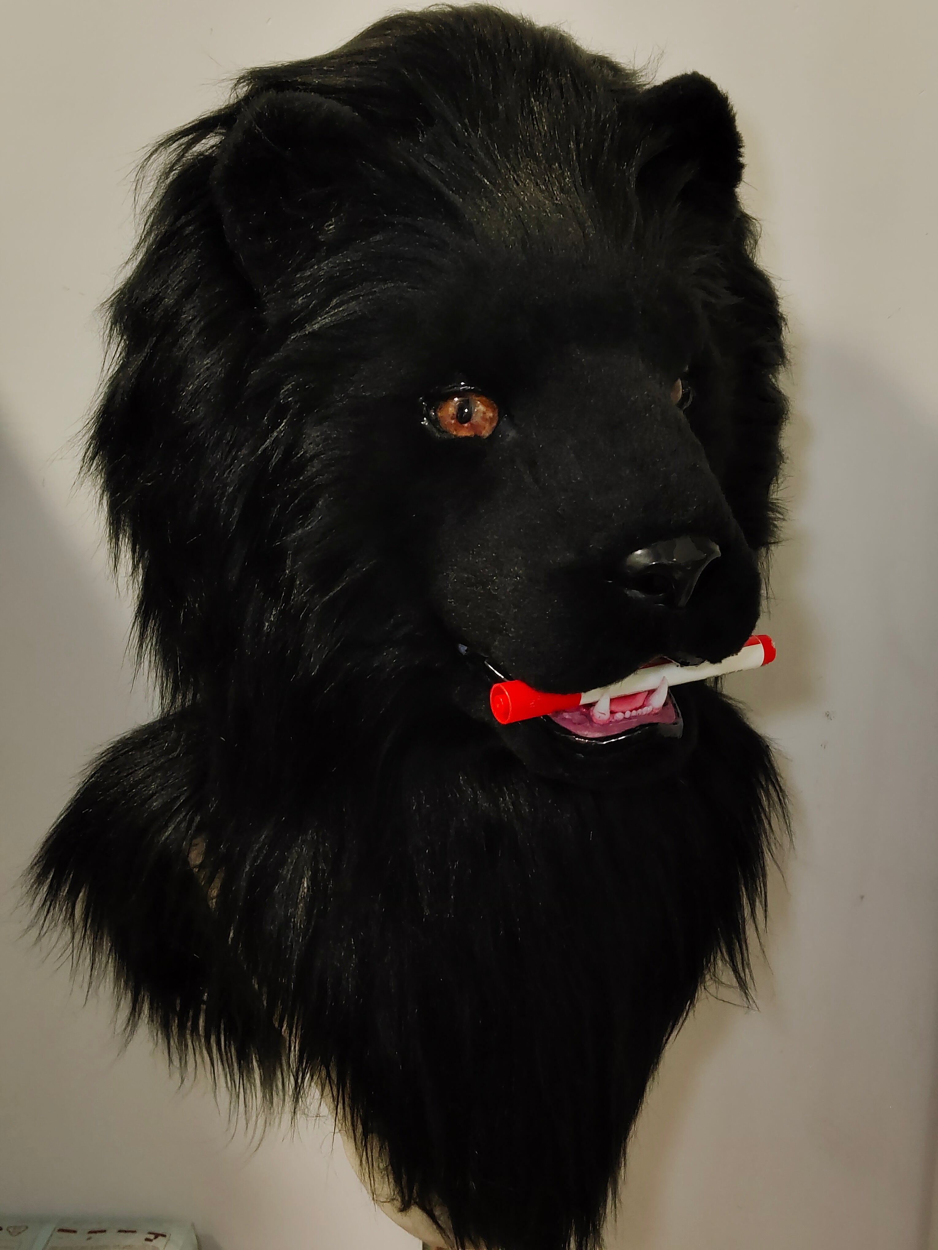 [Lion] Black Lion Realistic Fursuits Stock