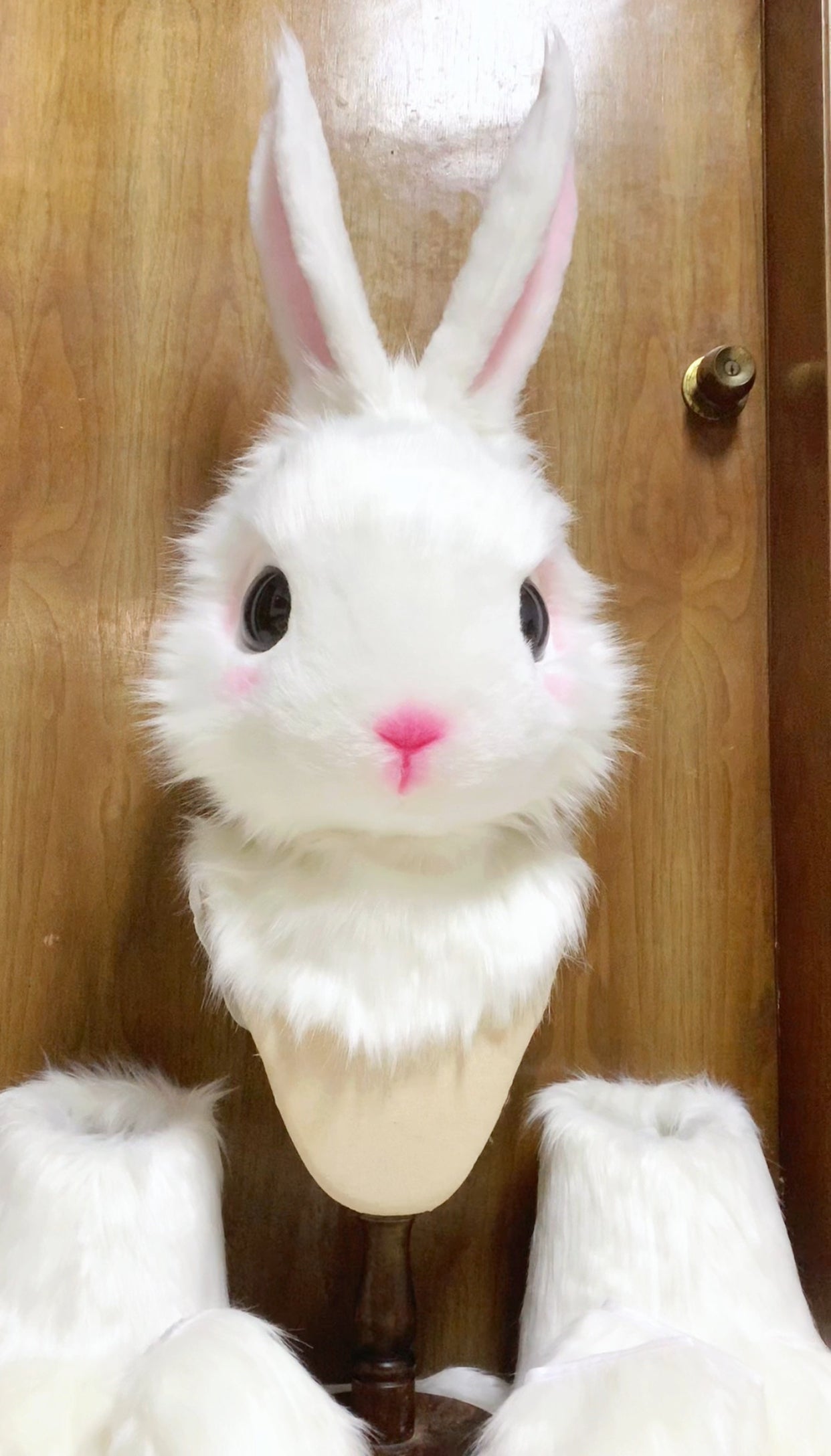 White Bunny Kemono Head Fursuit (Gift Feetpaws+Tail)